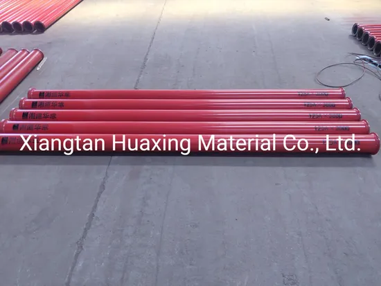 La pompa per calcestruzzo a tubo dritto più venduta di Zoomline